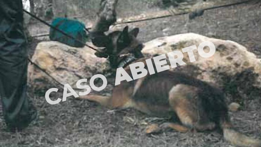 Elton, marcando un neceser durante el registro de la finca &#039;La Moratilla&#039; tras la desaparición del primer jornalero.