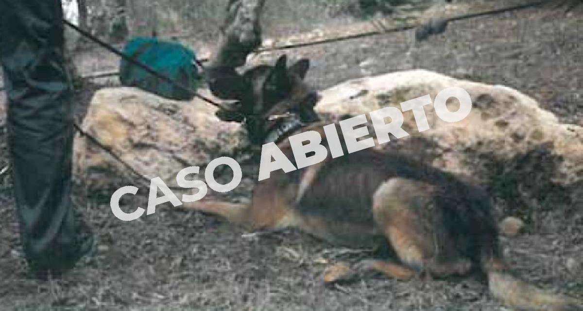 Elton, marcando un neceser durante el registro de la finca 'La Moratilla' tras la desaparición del primer jornalero.