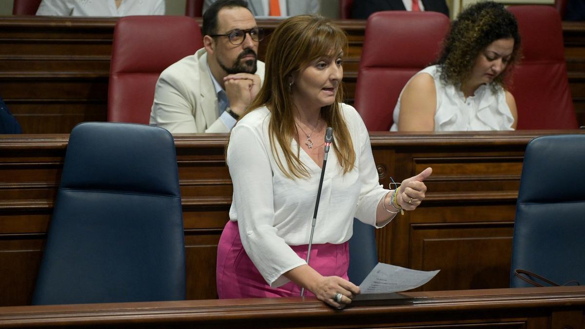 La consejera de Presidencia, Administraciones Públicas, Justicia y Seguridad del Gobierno de Canarias, Nieves Lady Barreto
