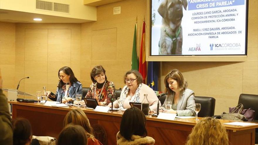 ¿Quién se queda el perro?