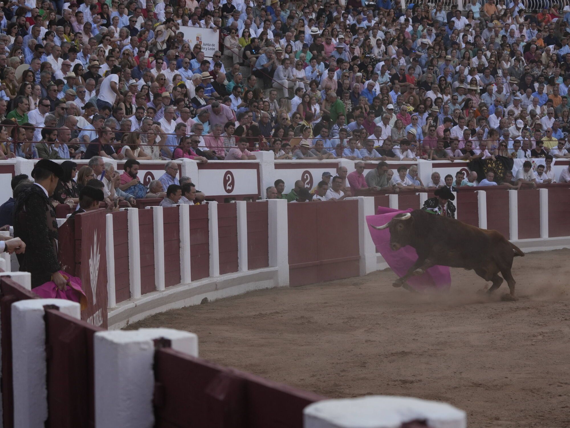 Las mejores imágenes de la feria taurina de San Pedro en Zamora.