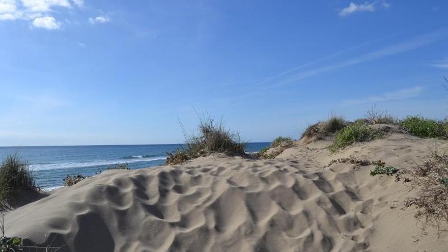 Dunas de Artola, localizadas en la zona marbellí de Cabopino.