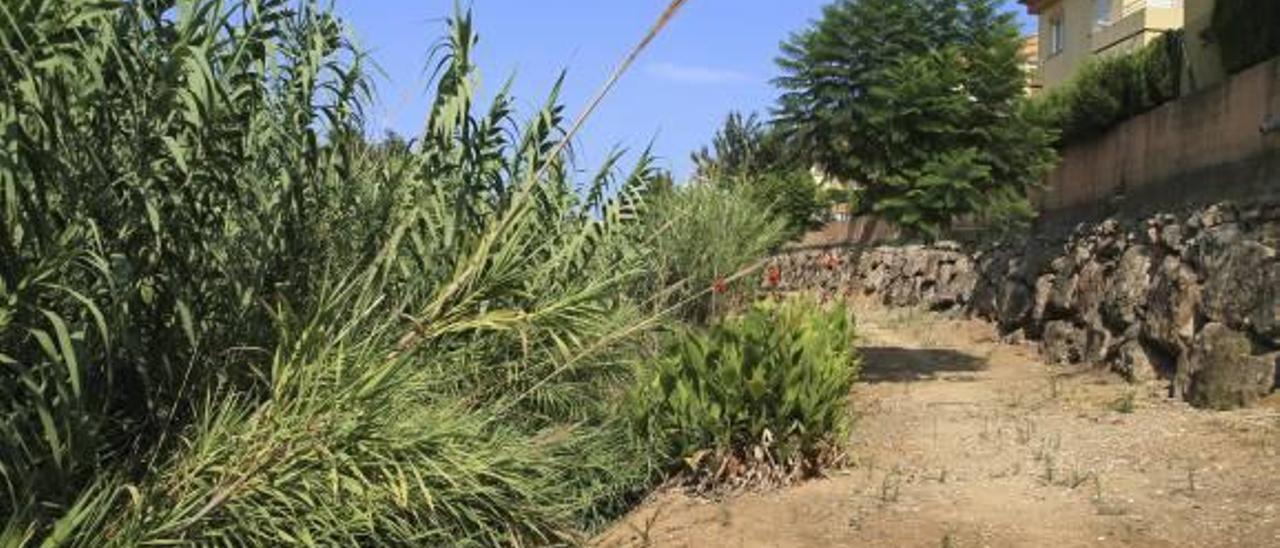 La CHJ sigue sin limpiar el barranco de  Sant Nicolau dos años después del incendio