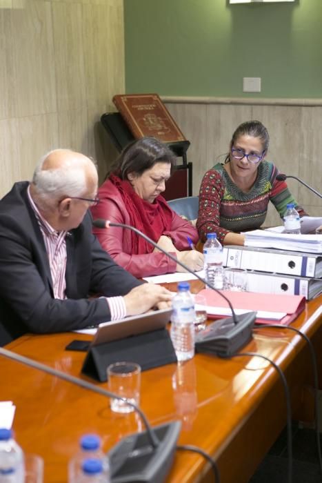 Pleno en el Ayuntamiento de La Oliva (25/02/2016)