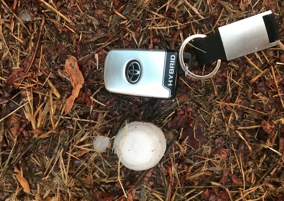 Pedra caiguda a la zona de La Bisbal