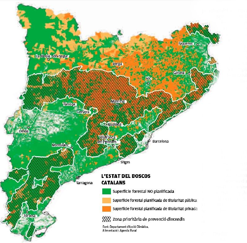 L&#039;estat dels boscos catalans