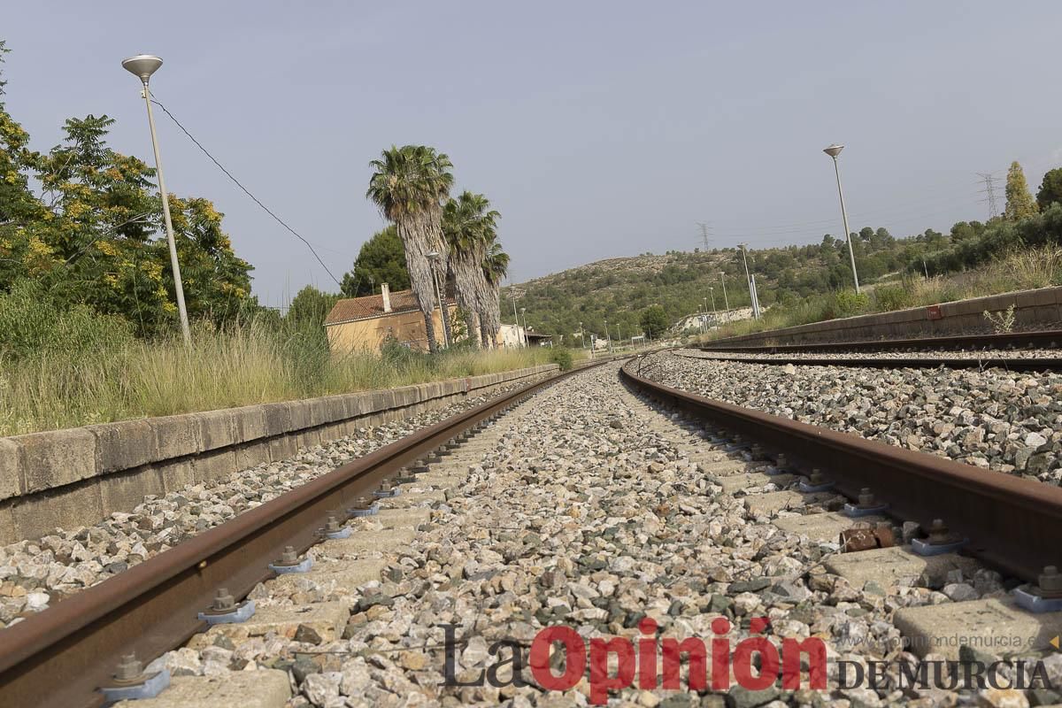 Así ha sido la marcha convocada por la Asociación Plaza Nueva en defensa de la Estación de tren de Calasparra