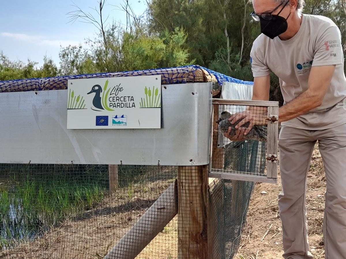 Suelta de ejemplares criados en cautividad