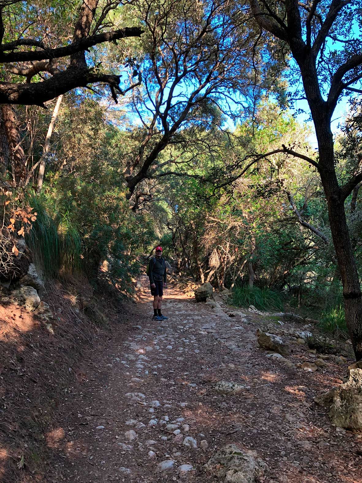 Wald- und Panoramawege gibt es auf dem alten Postweg.