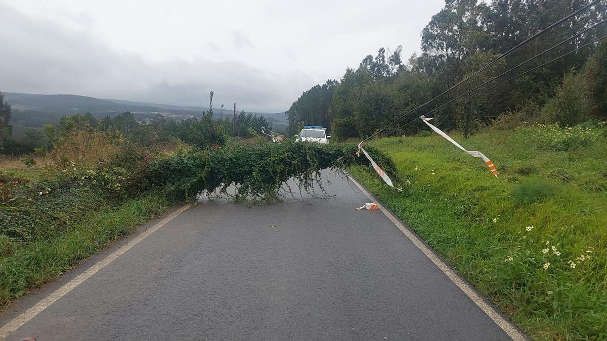 Un árbol caído sobre el tendido eléctrico obligó a cortar una carretera en Carballo