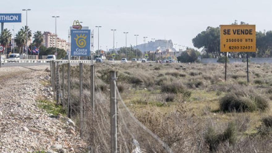 Los terrenos de Rabasa donde se instalaría el macrocentro comercial