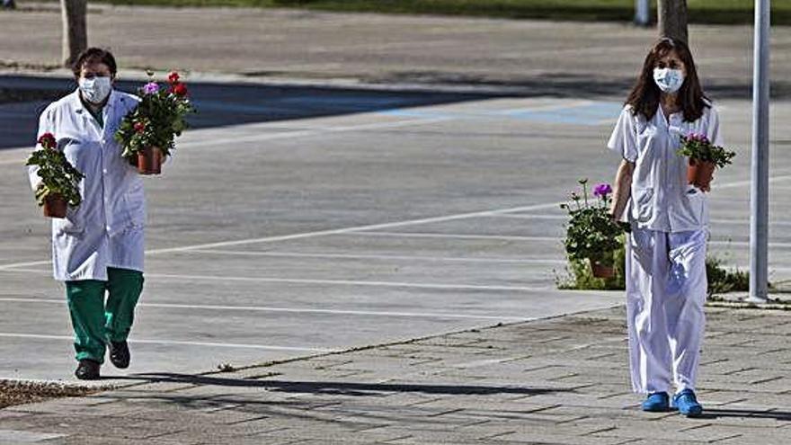 Dos sanitarias, con las flores del vivero de Asprosub Zamora.