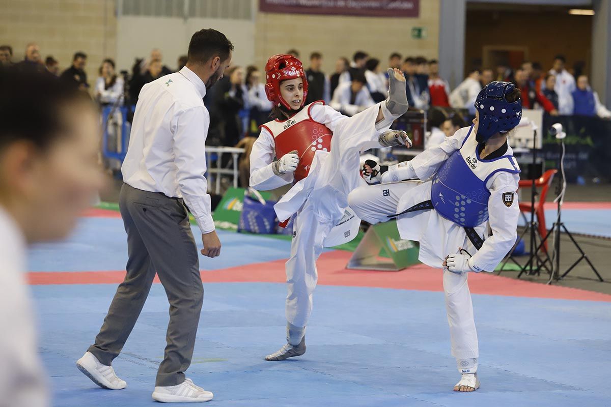 El Open Internacional de Taekwondo de Córdoba, en imágenes