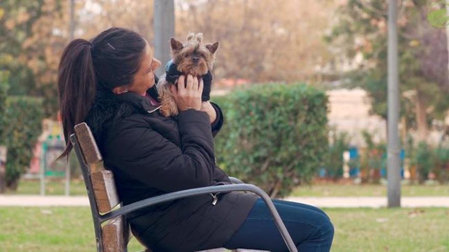 Una firma valenciana redirige la búsqueda para comprar un perro a una web de adopciones