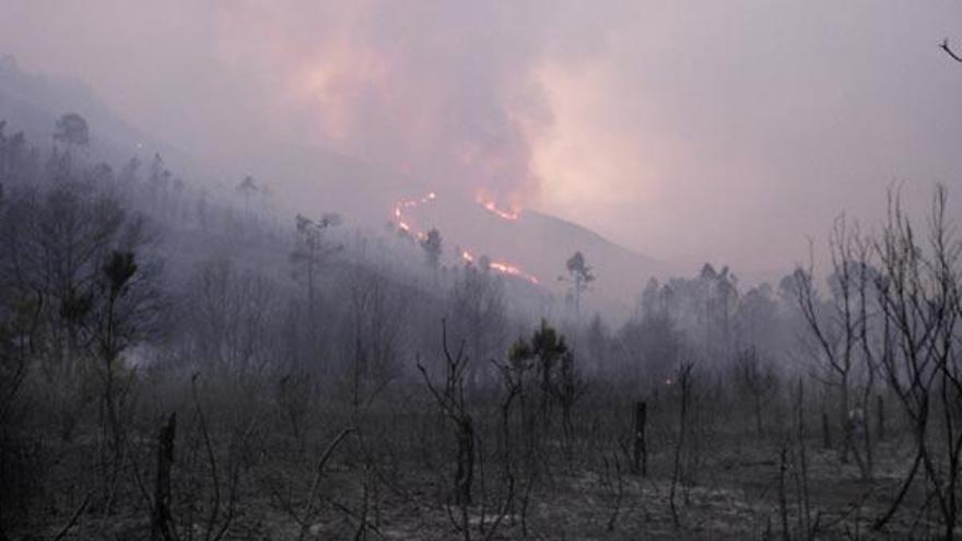 Imagen del incendio en la localidad orensana de Laza, que se inicio de madrugada en la parroquia de Alberguería, y que lleva calcinada una superficie provisional de 20 hectáreas.