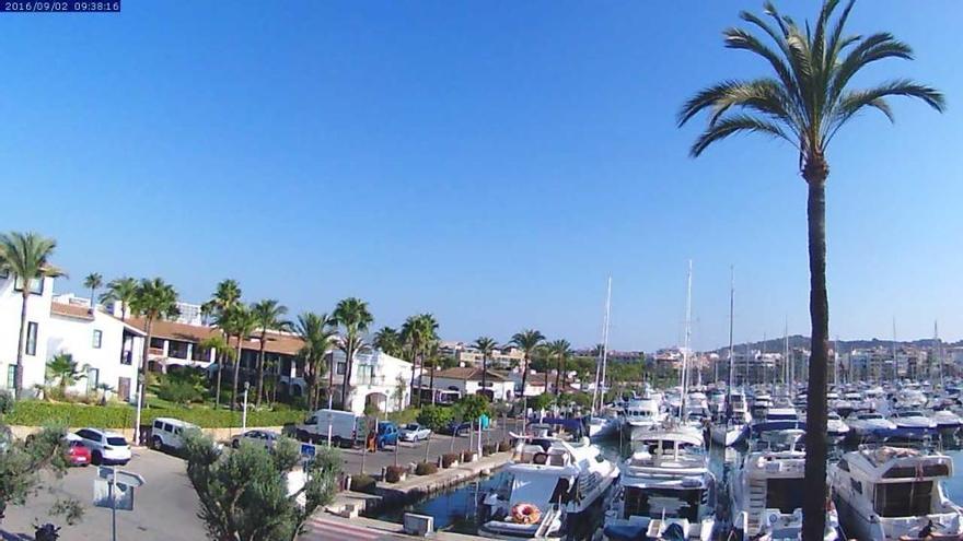 Port d&#039;Alcúdia am Freitag.