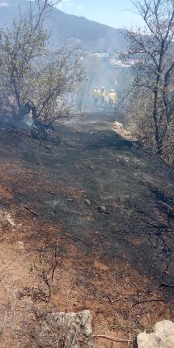 Conato de incendio en La Palma