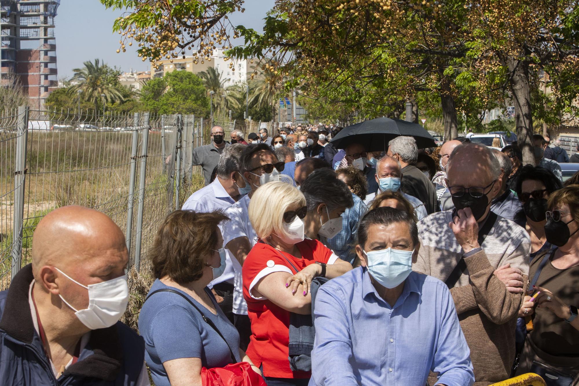 Largas colas al sol para vacunarse contra la COVID-19 en el hospital de campaña de La Fe