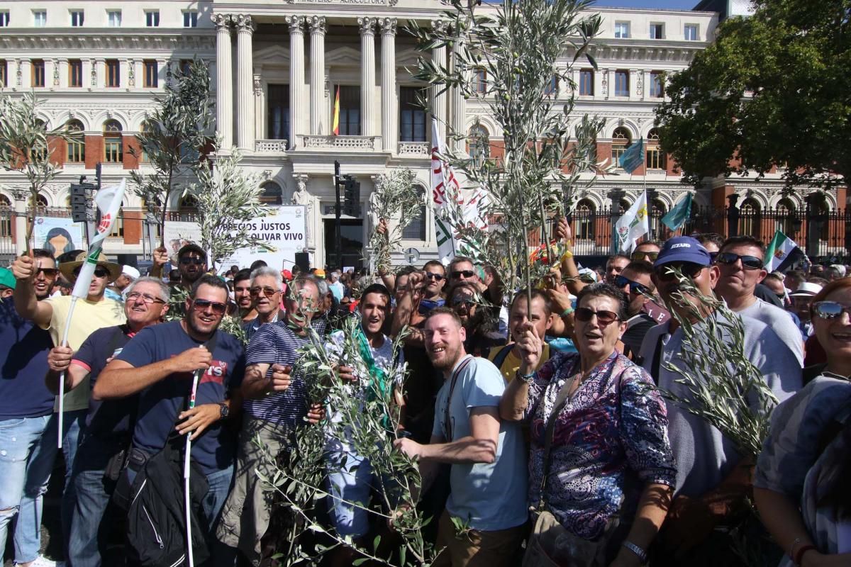 Córdoba se suma a la gran manifestación del olivar en Madrid