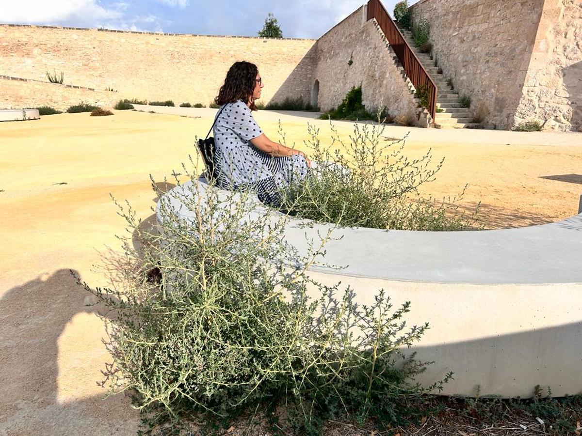 Asientos del castillo de San Fernando, rodeados de maleza