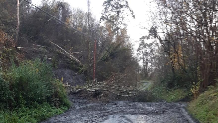 El argayo que cortó la carretera de Pampiedra.