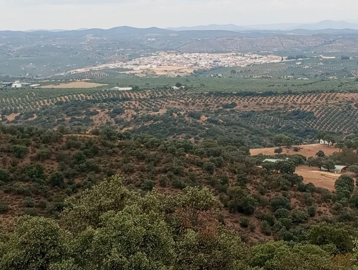 Vista general de Adamuz.