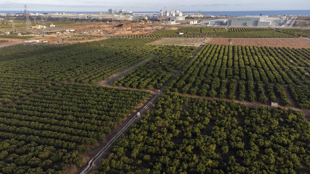 Terrenos donde está prevista la construcción de la gigafactoria de baterías de Volkswagen.