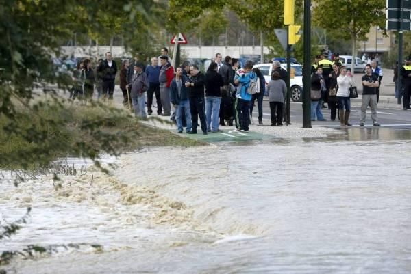 Fotogalería: Imágenes del temporal en Montañana, Zuera y Zaragoza capital