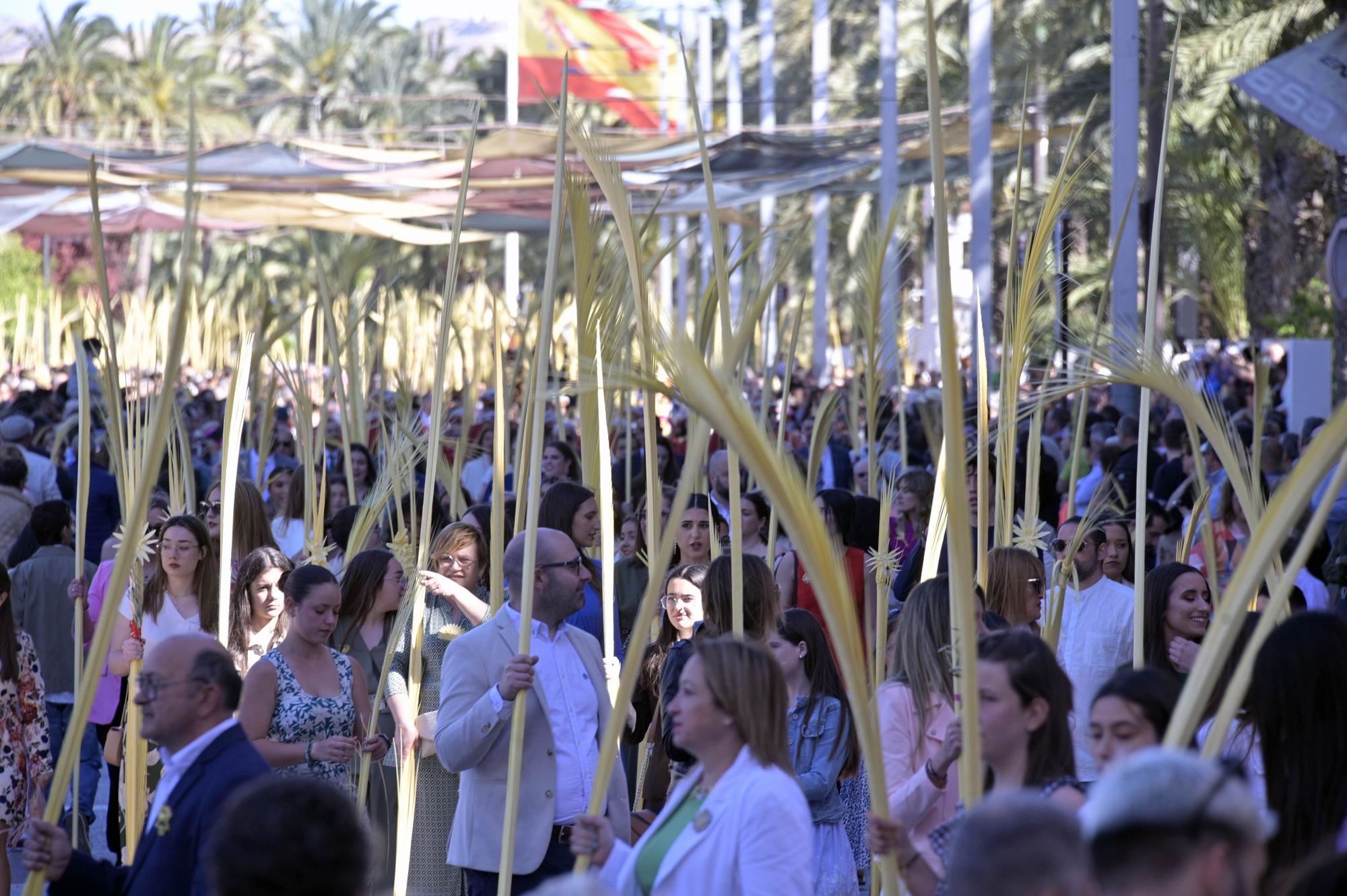 Domingo de Ramos en Elche