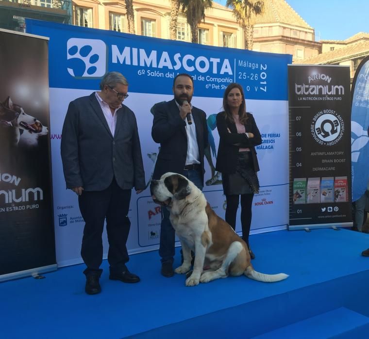 Pasarela promocional Mi Mascota