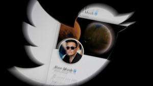 Musk es burla d’un senador que va demanar explicacions per les suplantacions a Twitter