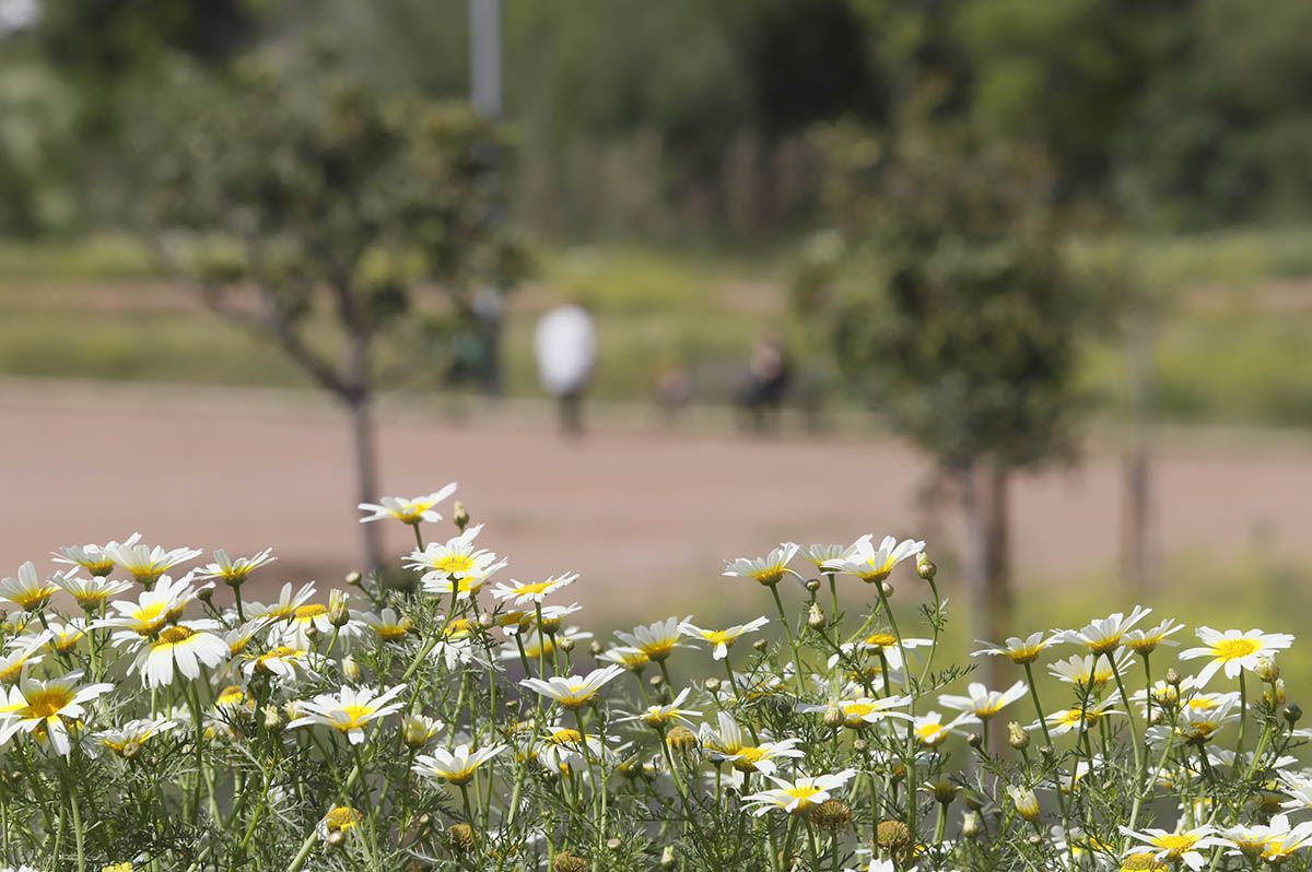 El Parque de Levante de Córdoba avanza en su finalización