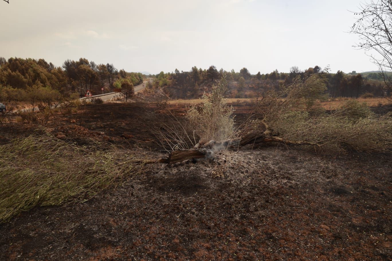 El incendio de Bejís, en imágenes