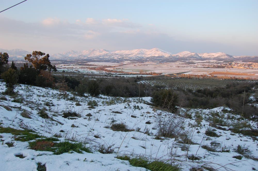 La neu va emblanquinar tota la comarca