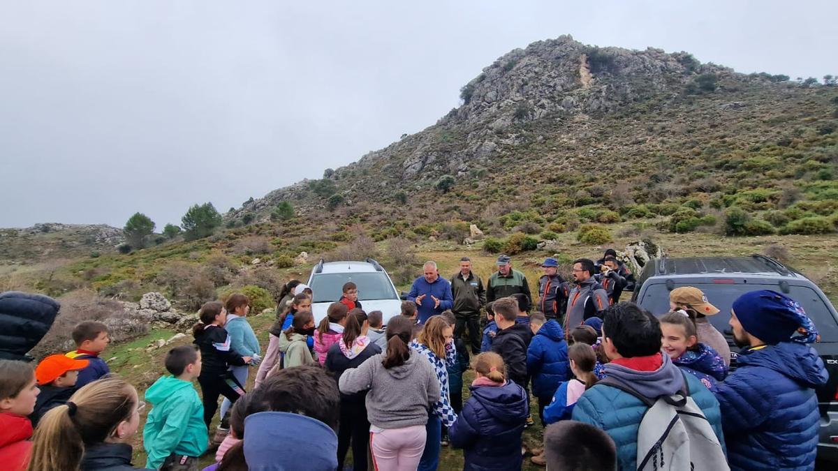 Una de las jornadas de plantación realizada en la Sierra de las Nieves