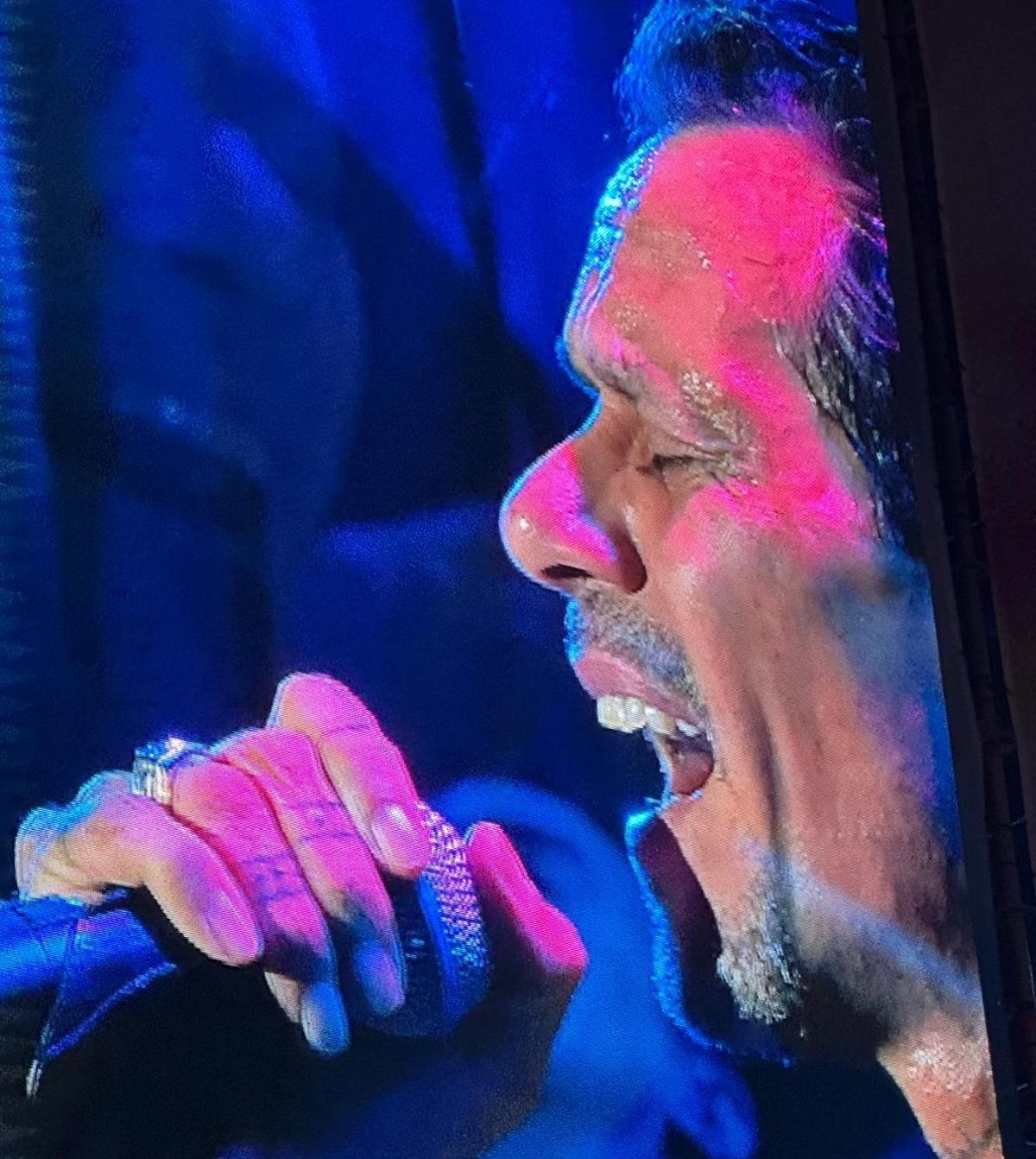Marc Anthony sang beim Konzert auf Mallorca jeden Song voller Leidenschaft