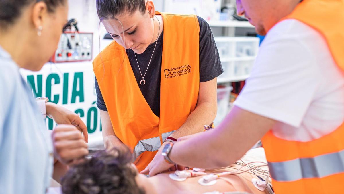 El centro imparte tres ciclos de grado medio y cuatro de grado superior.
