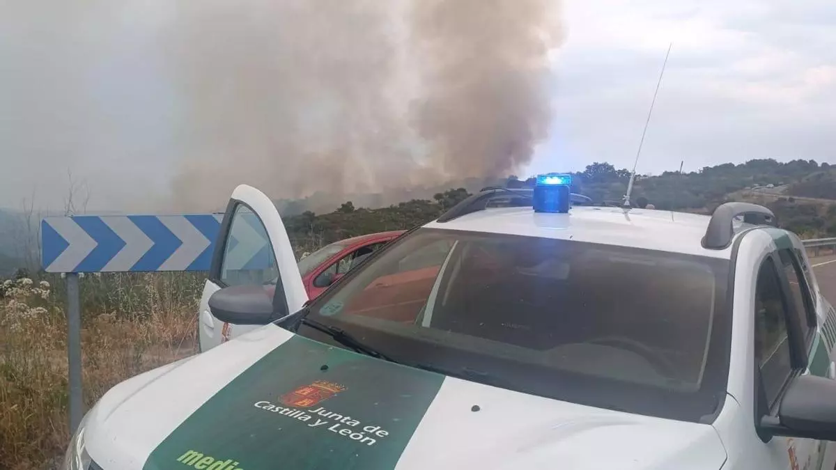 ÚLTIMA HORA | Un incendio forestal en Fermoselle obliga a desplegar un dispositivo de emergencia