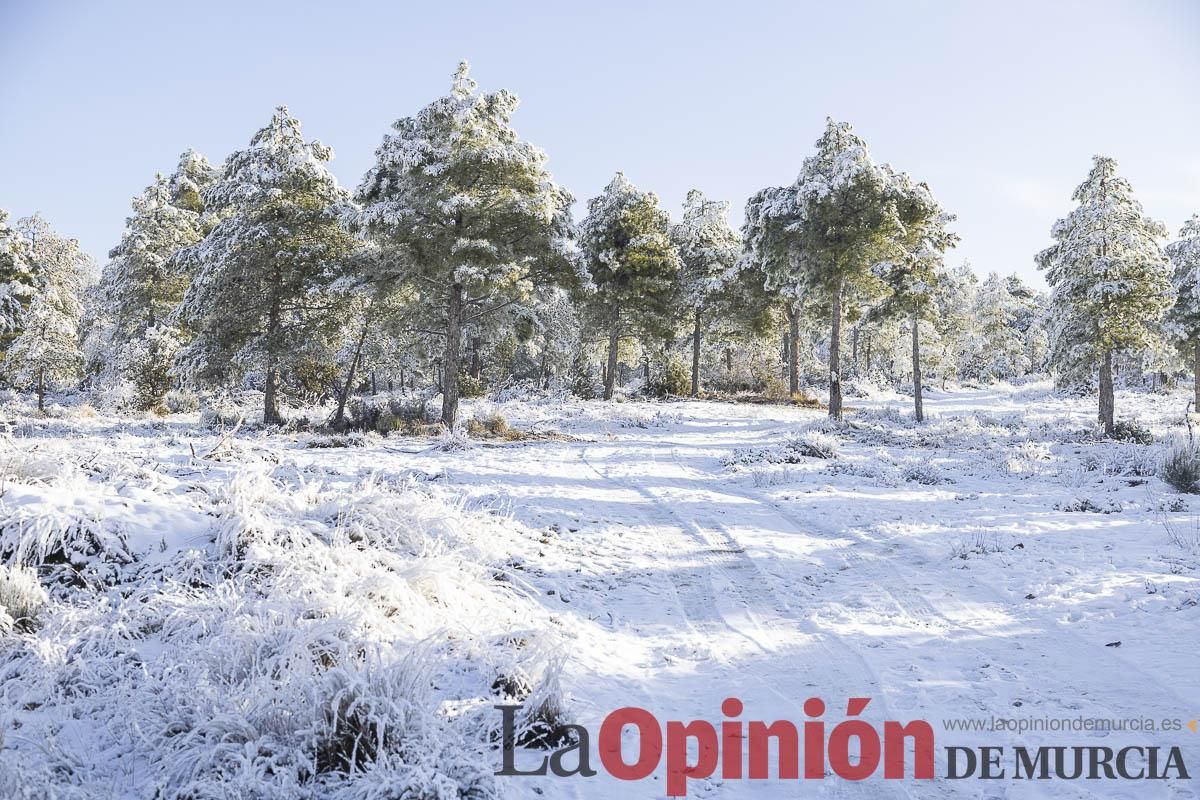 Descubre dónde queda acumulación de nieve en la Región de Murcia