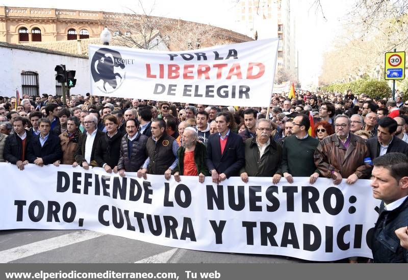 GALERÍA DE FOTOS -- Seguimiento de la manifestación protaurina -- Parte 1