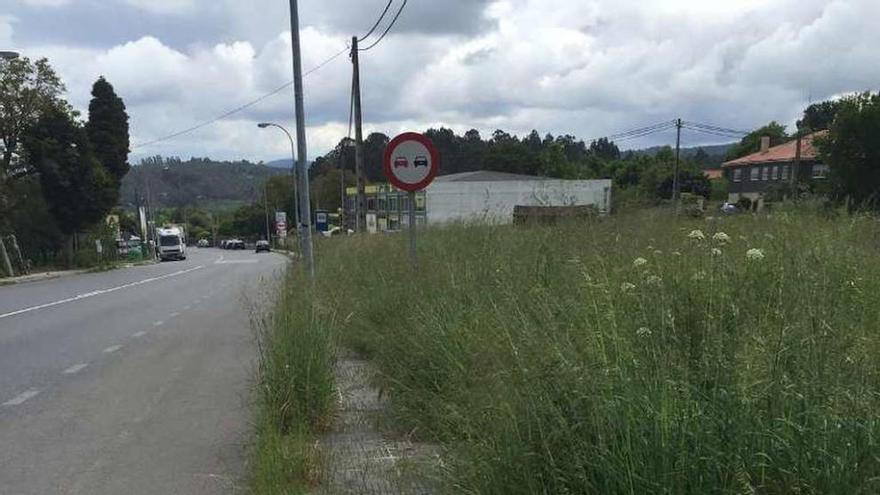 Aceras devoradas por la maleza en la carretera N-525 en Lamela.