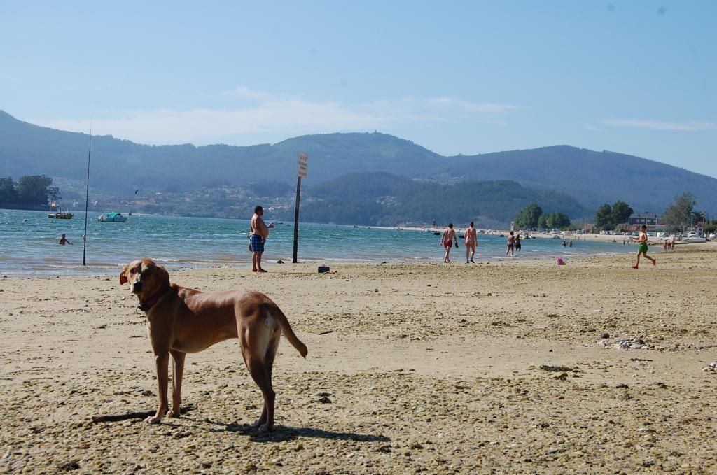 Playa de Cesantes, en Redondela.