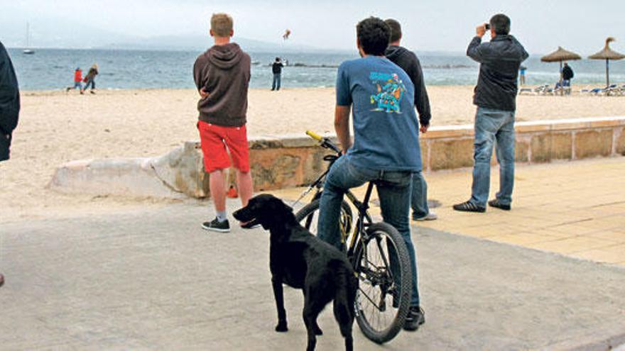 Los animales serán bienvenidos en un sector de la playa de Llenaire aún por definir.