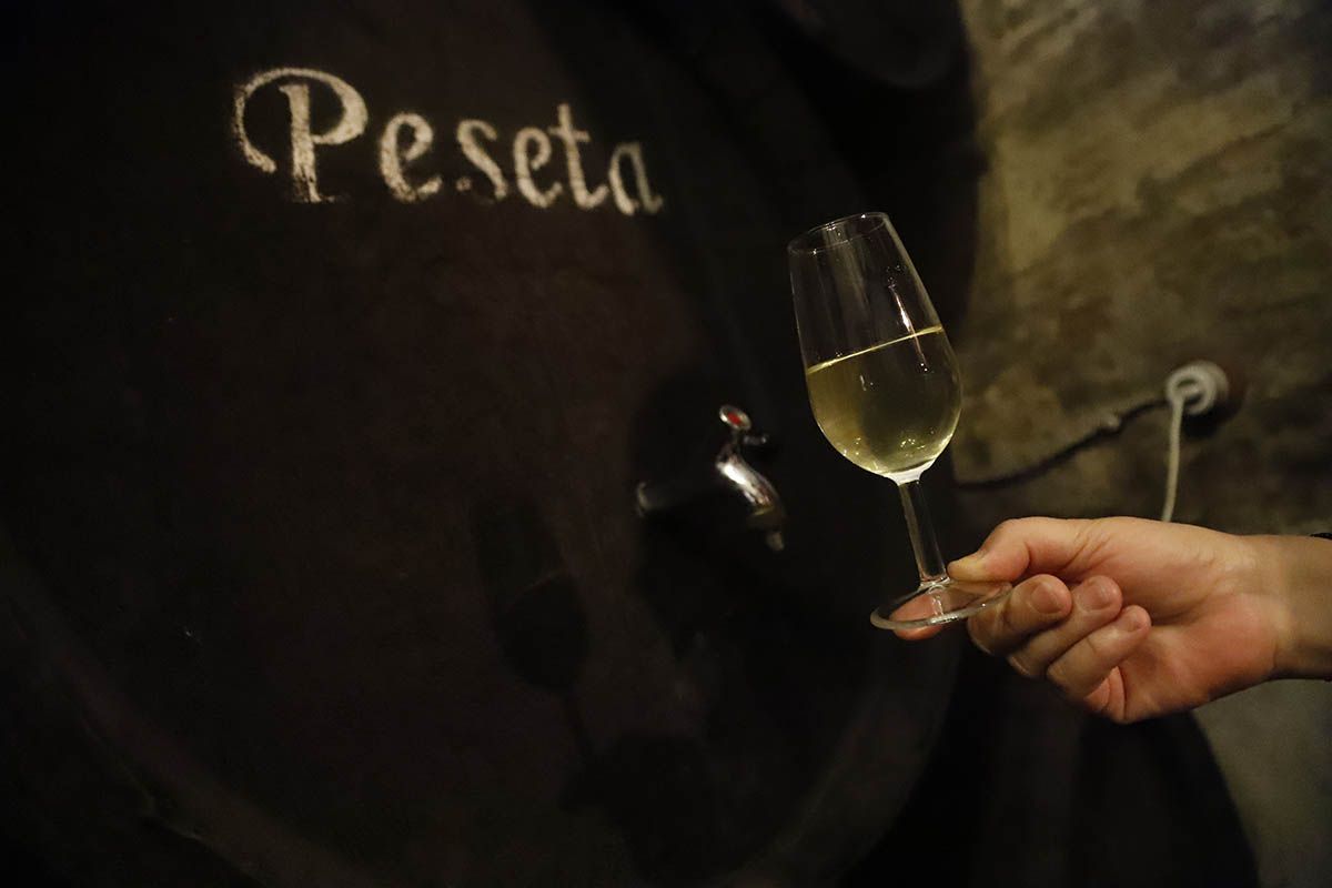 Taberna Sociedad de Plateros María Auxiliadora