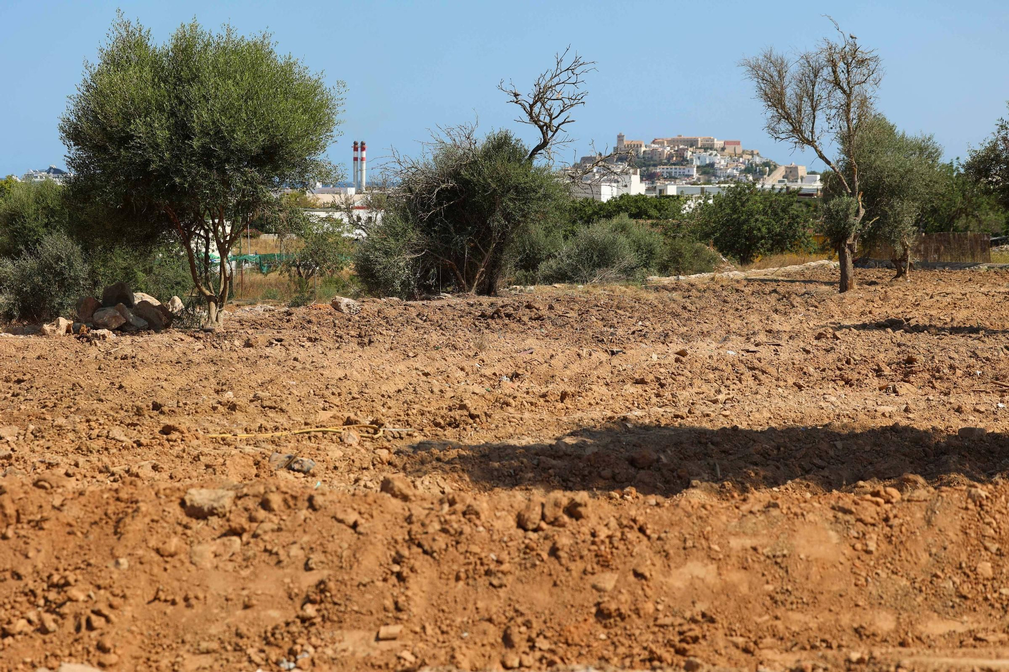 Galería: terreno de Can Rova II completamente despejado por el Ayuntamiento