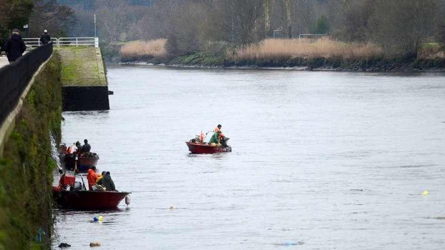 Tres de las embarcaciones autorizadas para la pesca de lamprea en el Ulla. // Noé Parga