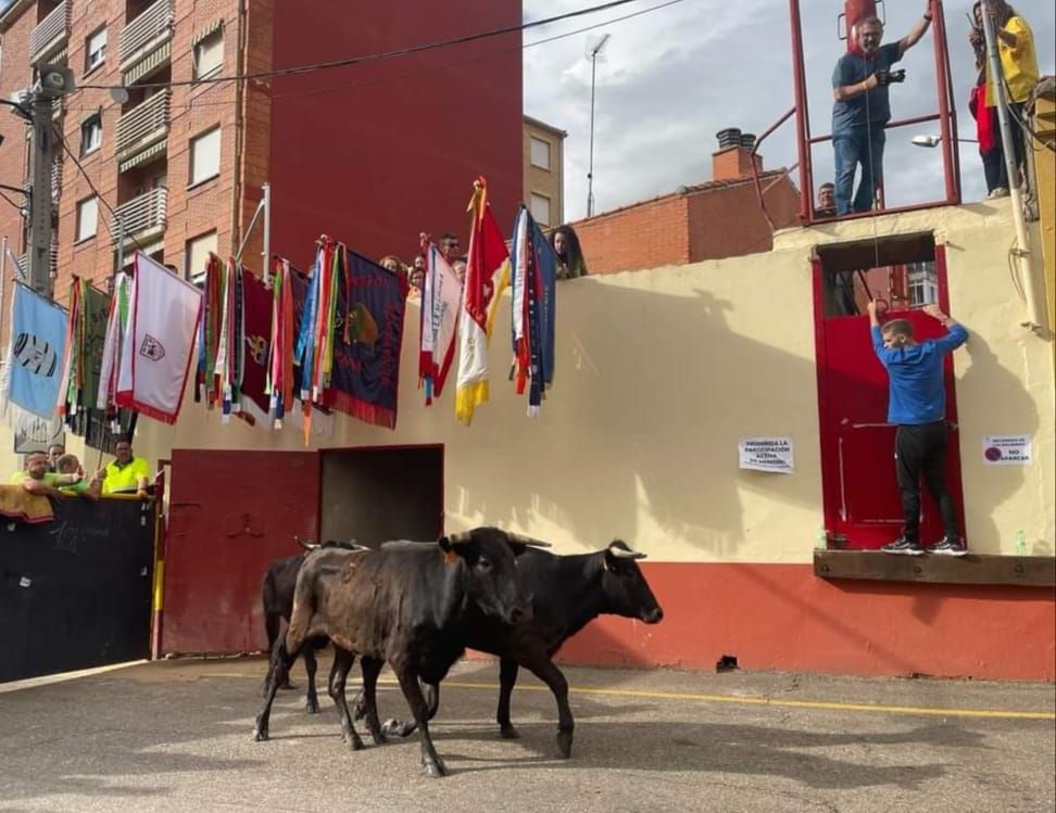 Toro Enmaromado en Benavente: La fiesta del jueves en imágenes