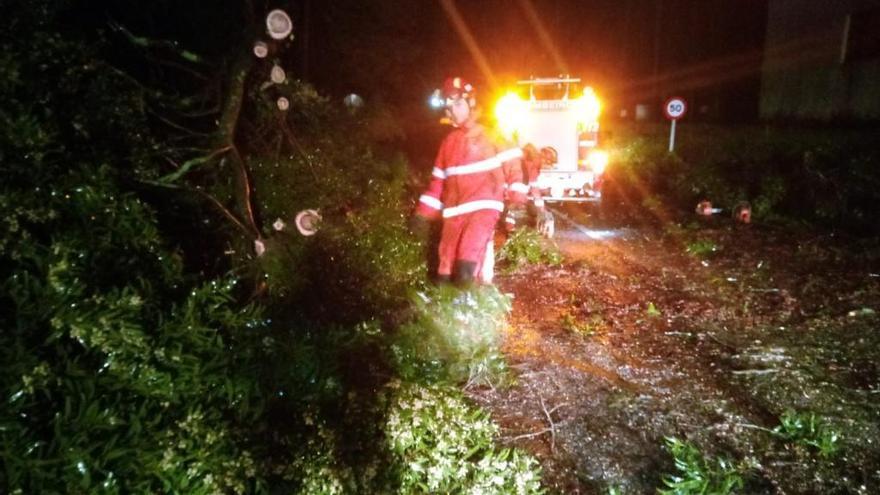 Los bomberos retirando árboles de madrugada.