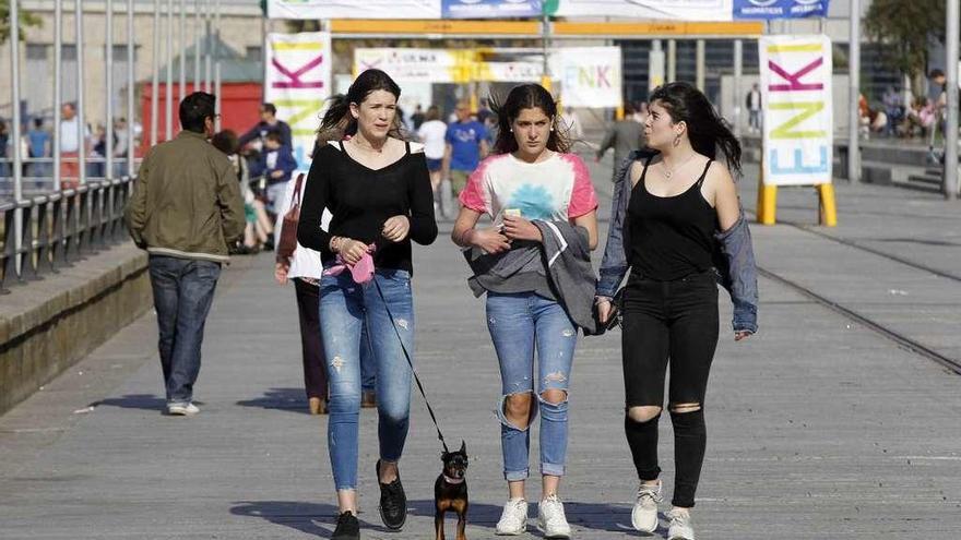 Tres jóvenes pasean con un perro, ayer, por las Avenidas. // J. Lores