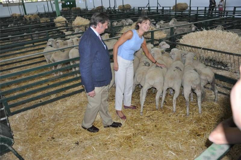 Feria Internacional de Zafra